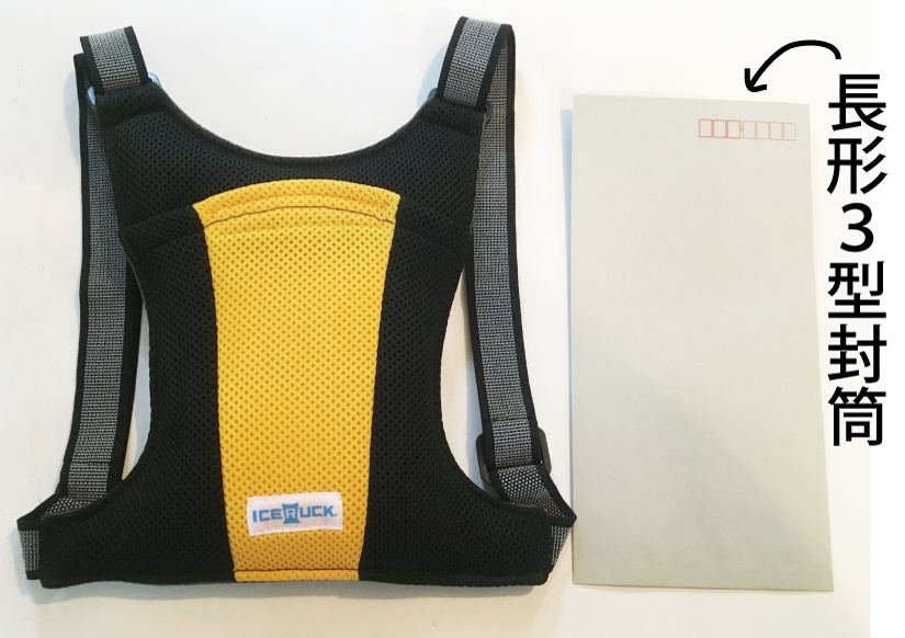 アイスリュックZの大きさ